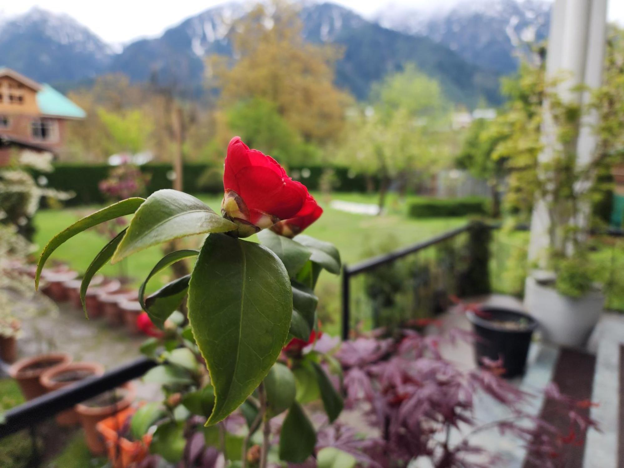 Premier Pahalgam Hotel ภายนอก รูปภาพ